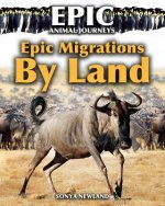 Epic Migrations by Land