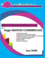 Mettre En Place Et Tenir Sa Gestion Commerciale Syscoa-Ohada Avec Sage Gestion Commerciale: Cas Pratiques Avec Modes Opératoires Détaillés
