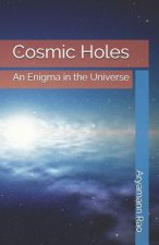 Cosmic Holes: An Enigma in the Universe