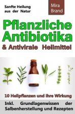 Pflanzliche Antibiotika & Antivirale Heilmittel: Sanfte Heilung Aus Der Natur
