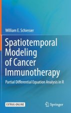 Spatiotemporal Modeling of Cancer Immunotherapy