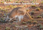 Beuteltiere Australiens (Tischkalender 2020 DIN A5 quer)