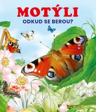 Motýli