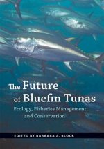 Future of Bluefin Tunas