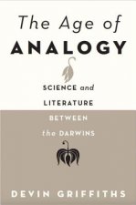 Age of Analogy