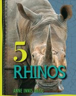 5 Rhinos