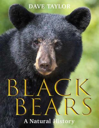 Black Bears: A Natural History