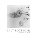 Salt Blossoms