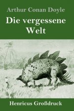 vergessene Welt (Grossdruck)