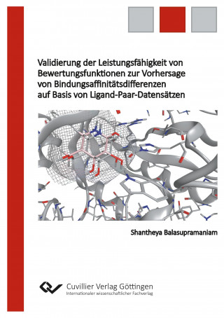 Validierung der Leistungsfähigkeit von Bewertungsfunktionen zur Vorhersage von Bindungsaffinitätsdifferenzen auf Basis von Ligand-Paar-Datensätzen