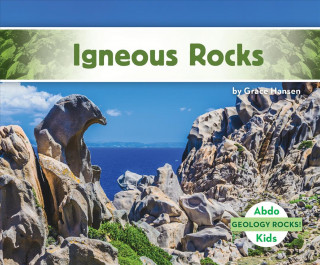 Igneous Rocks