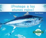 ?protege a Los Atunes Rojos! (Help the Bluefin Tuna)