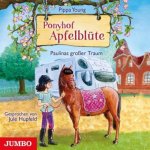 Ponyhof Apfelblüte. Paulinas großer Traum [14]