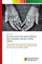 Os Escravos nos patrimônios dos Campos Gerais (1846-1864)