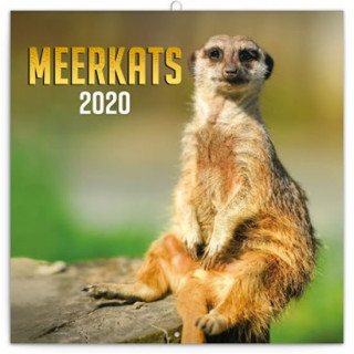 Poznámkový kalendář Surikaty 2020
