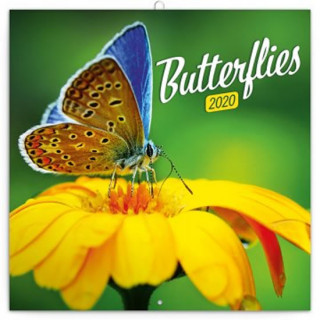 Poznámkový kalendář Motýli 2020