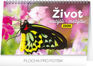 Stolní kalendář Život motýlů – motýlov 2020