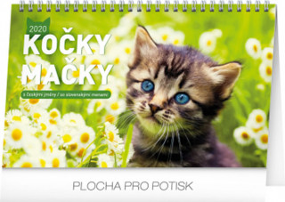 Stolní kalendář Kočky – Mačky CZ/SK 2020
