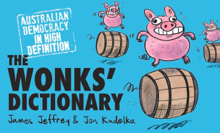 Wonks' Dictionary