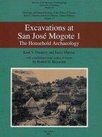 Excavation at San Jose Mogote 1