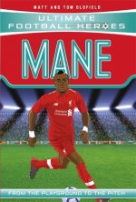 Mane (Ultimate Football Heroes) - Collect Them All!