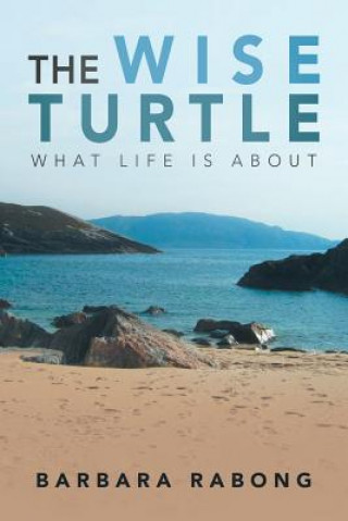 Wise Turtle