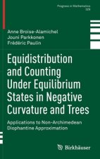 Equidistribution and Counting Under Equilibrium States in Negative Curvature and Trees