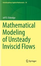 Mathematical Modeling of Unsteady Inviscid Flows