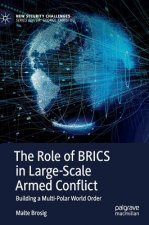 Role of BRICS in Large-Scale Armed Conflict