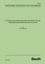 Zur Eignung und Wirkungsweise calcinierter Tone als reaktive Bindemittelkomponente im Zement