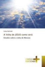 Volta de JESUS como sera