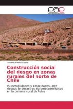 Construcción social del riesgo en zonas rurales del norte de Chile