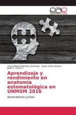 Aprendizaje y rendimiento en anatomía estomatológica en UNMSM 2016