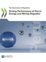 Driving performance at Peru's Energy and Mining Regulator