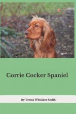 Corrie Cocker Spaniel