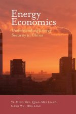 Energy Economics