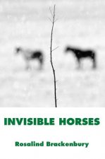 Invisible Horses
