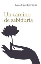 Un Camino de Sabiduria