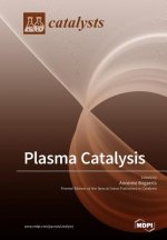 Plasma Catalysis