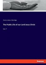 Public Life of our Lord Jesus Christ