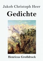 Gedichte (Grossdruck)