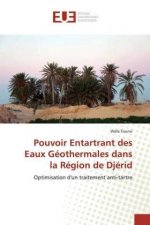Pouvoir Entartrant des Eaux Geothermales dans la Region de Djerid