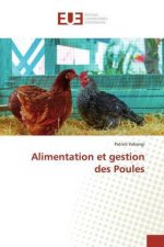 Alimentation et gestion des Poules