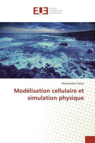 Modelisation cellulaire et simulation physique