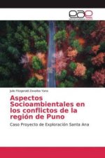 Aspectos Socioambientales en los conflictos de la región de Puno