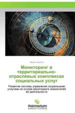 Monitoring w territorial'no-otraslewyh komplexah social'nyh uslug