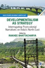 Developmentalism as Strategy