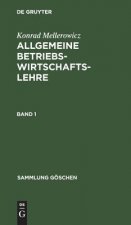 Sammlung Goeschen Allgemeine Betriebswirtschaftslehre