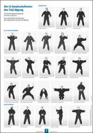 Die 15 Ausdrucksformen des Taiji Qigong Poster