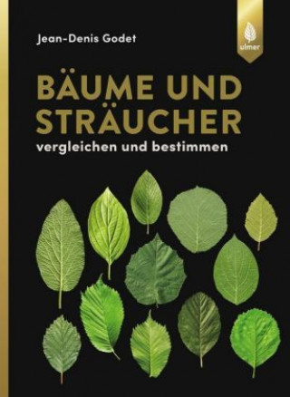 Bäume und Sträucher